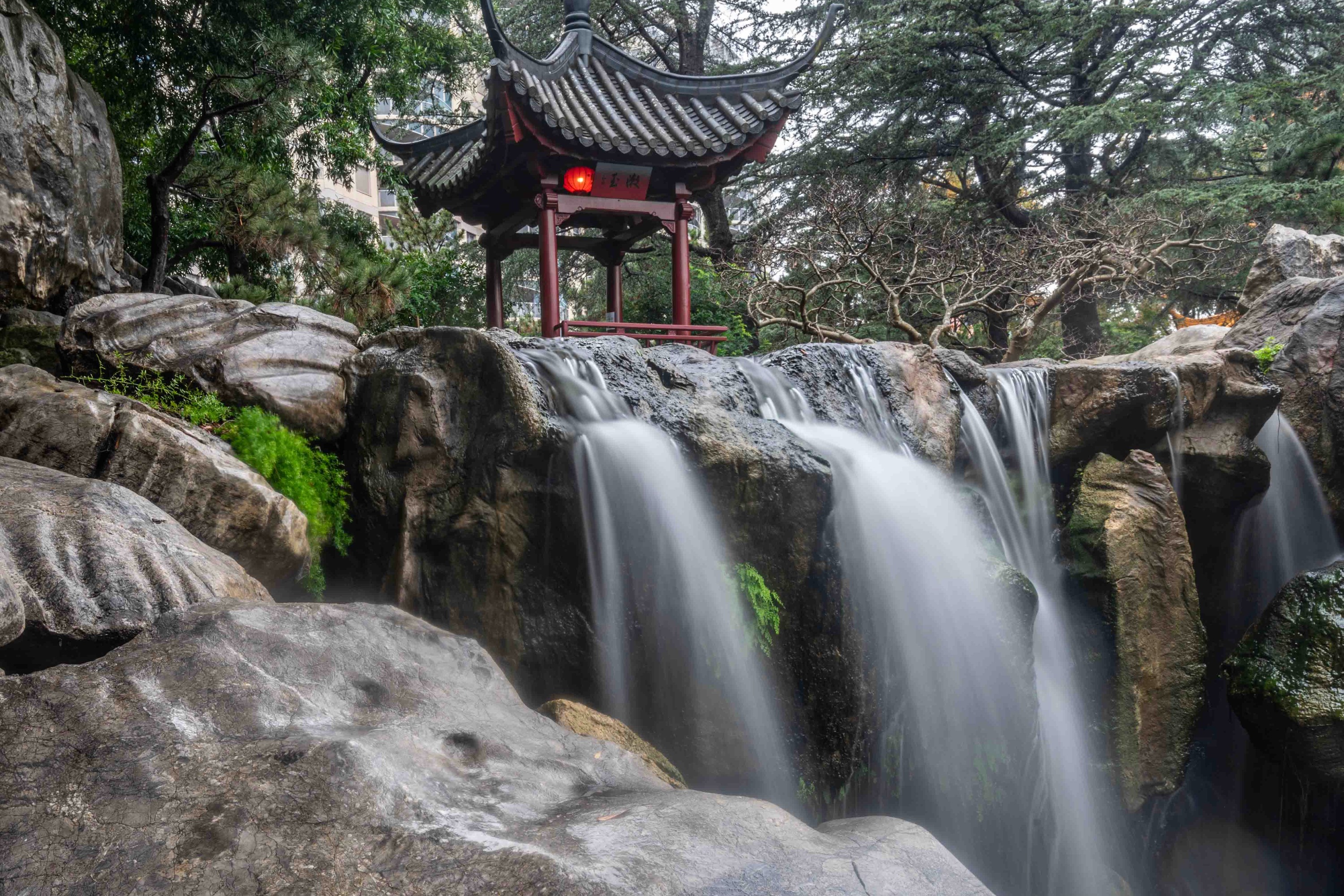 雪梨中國友誼花園門票