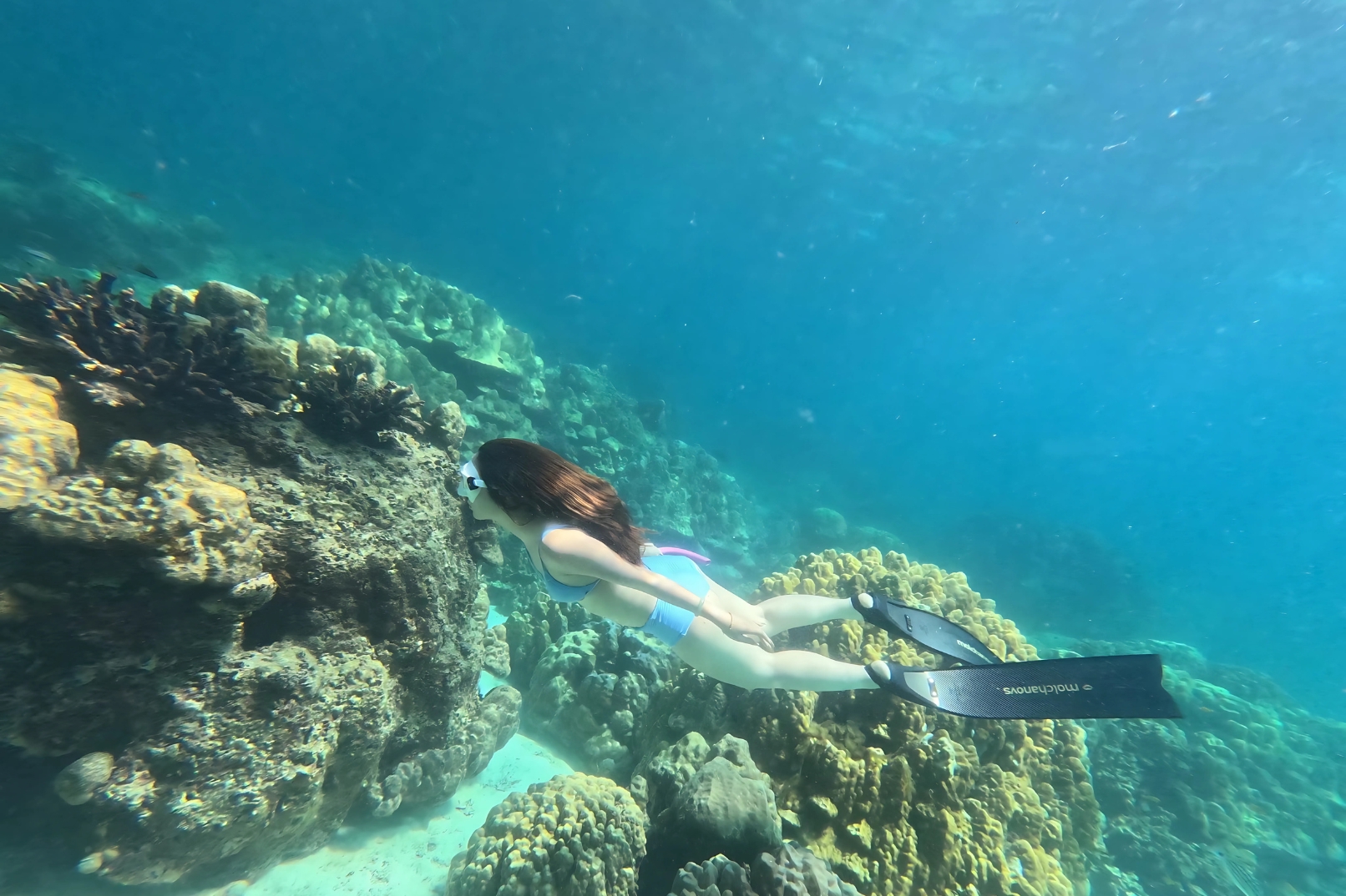 Koh Rok & Koh Haa島一日快艇之旅
