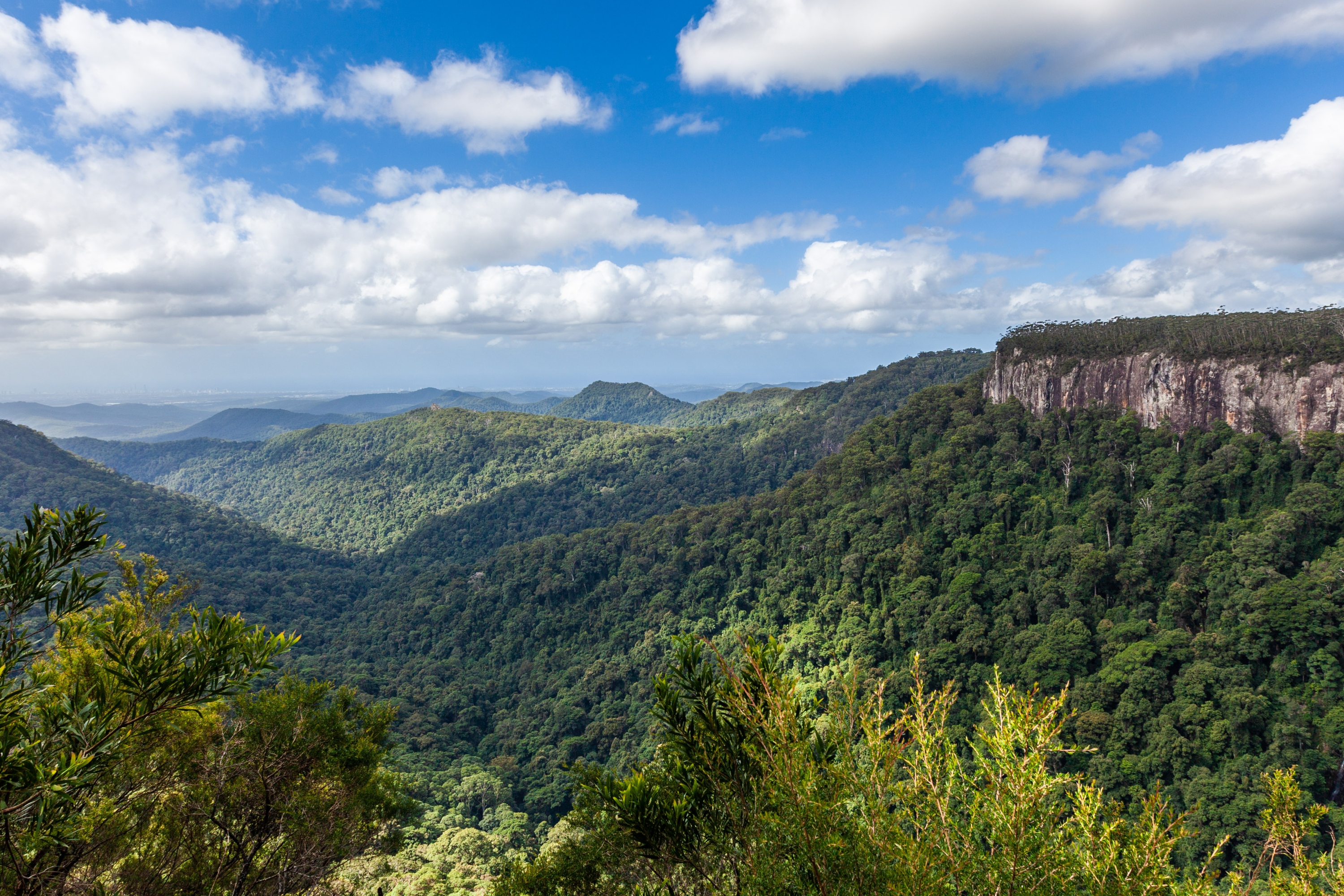 壯麗景色盡收眼底,飽覽雨林山谷和綿延不絕的山脊 壯麗景色盡收眼底,飽覽雨林山谷和綿延不絕的山脊