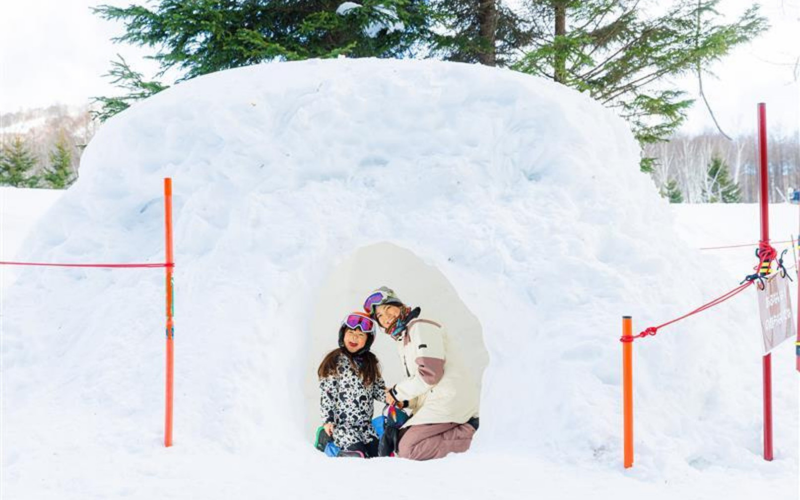 [Departure from Tokyo] Departure on 2/23/2026 | Nasu/Nikko 3 Days 2 Nights Snow Hut and Cultural Experience