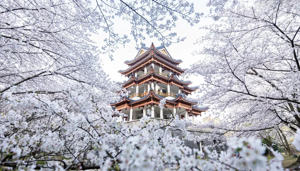 太湖黿頭渚風景區