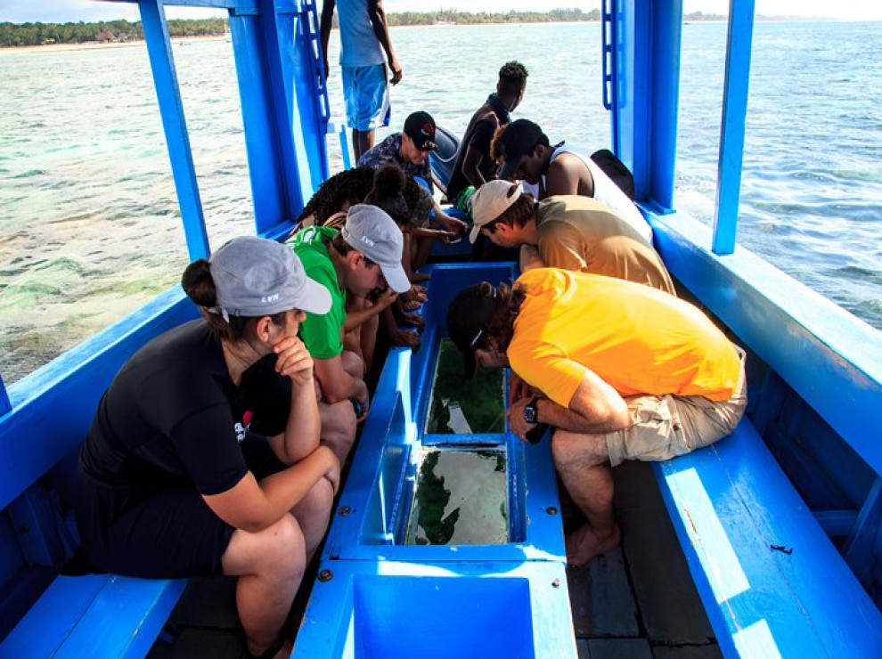 ダイアニビーチ ガラス床ボートツアー・ウォーターアクティビティ体験（ケニア）