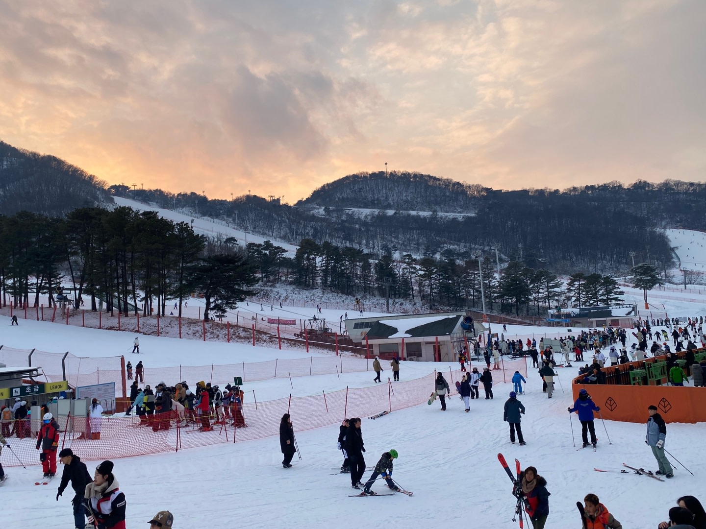 Jisan Forest Ski & Snow Sled Day-Tour from Seoul