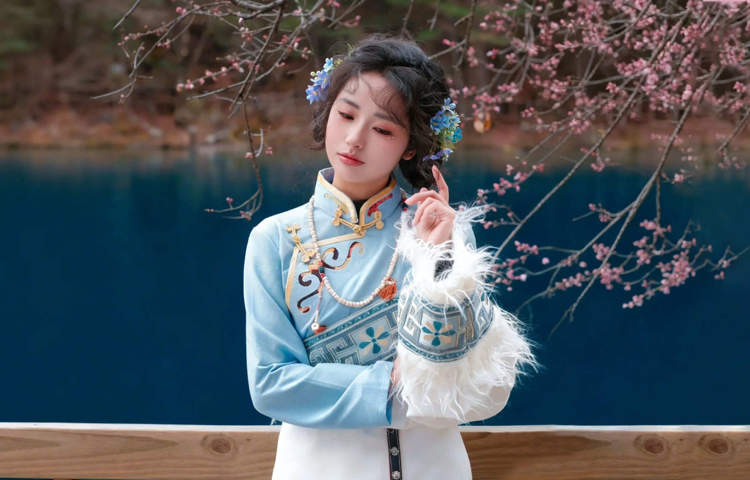 Chengdu to Jiuzhaigou High-Speed ​​Rail Round 1 day trip