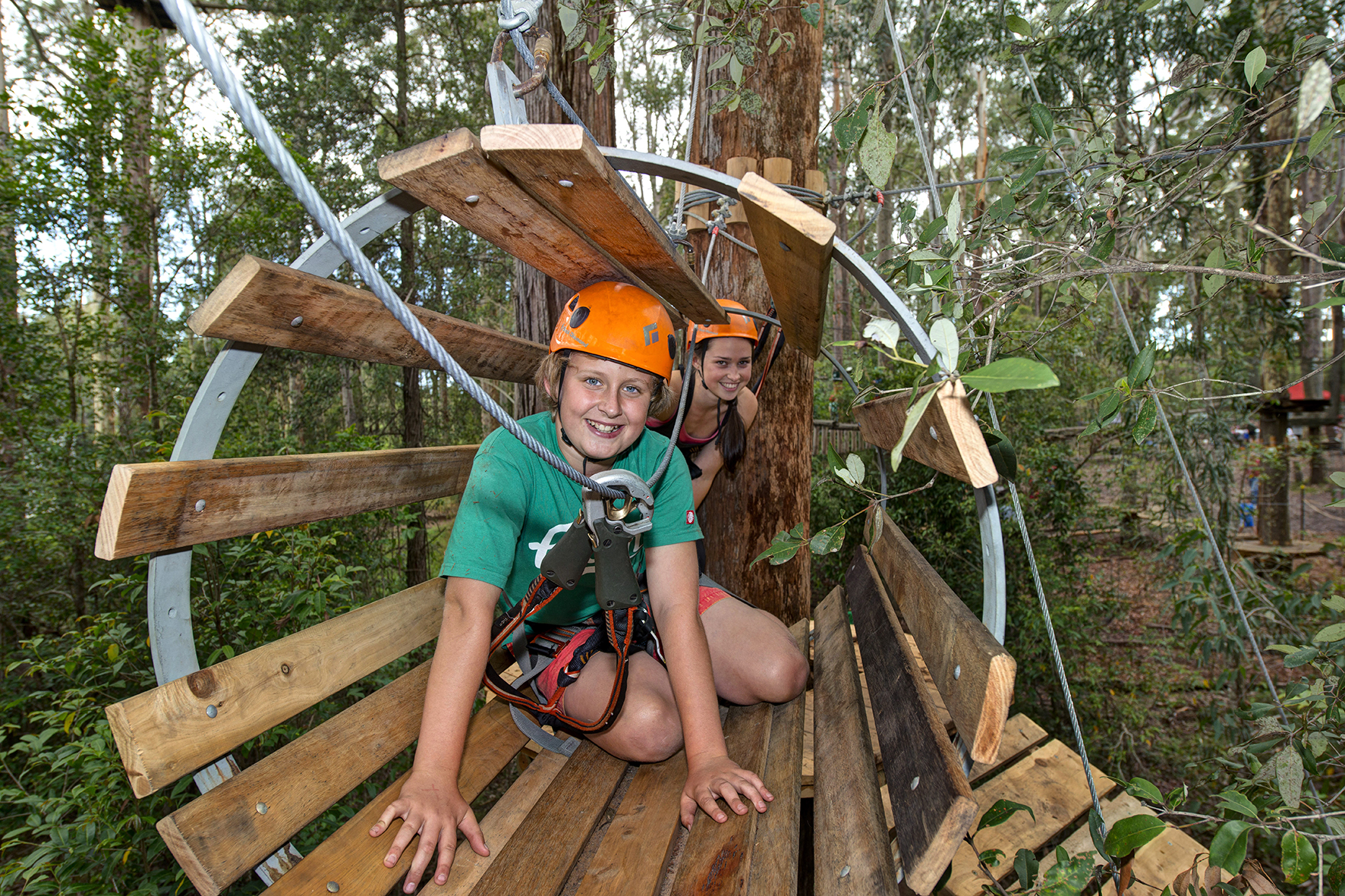 Tree Climbing and Ziplining in Pennant Hills