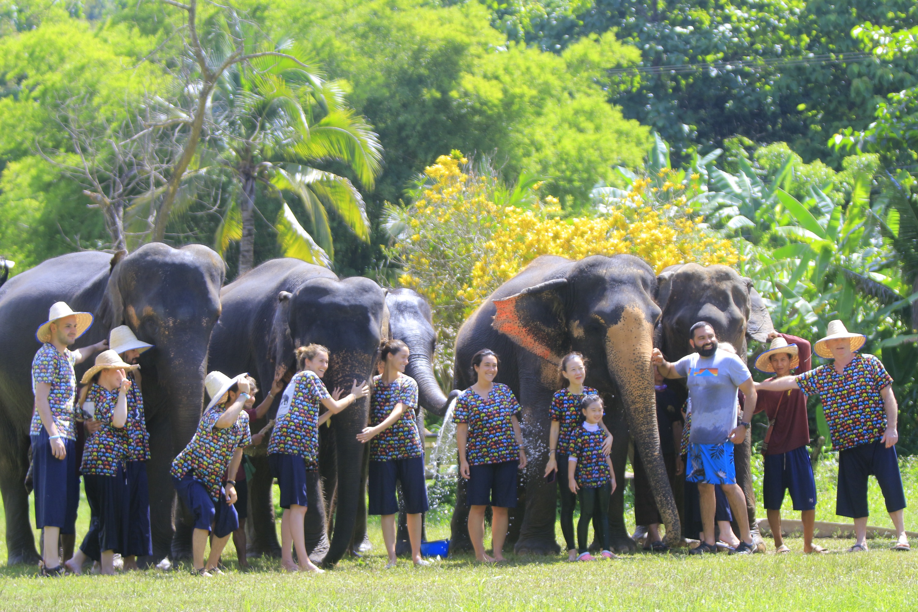 清邁大象自然保護區（Kanta Elephant Sanctuary）半日遊