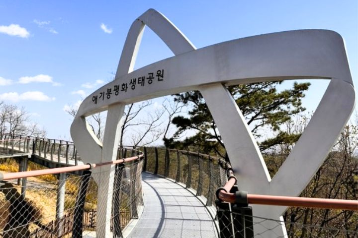 【清真午餐】愛妓峰 + 辣醬製作 + 拌飯 + DMZ非軍事區營地