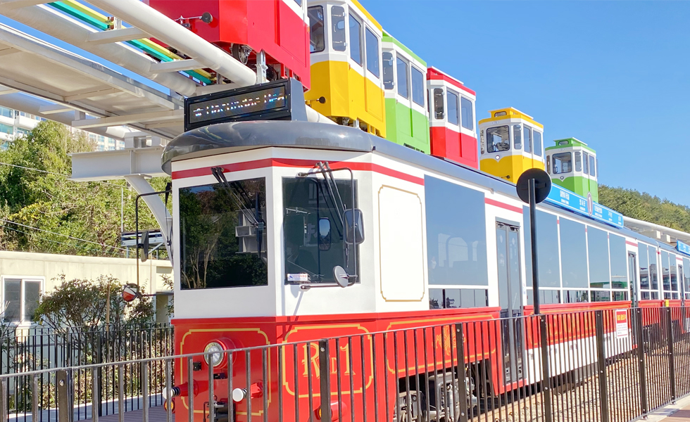 太宗臺繡球花 / 松島海上纜車 / 甘川洞 / 廣安裡之旅