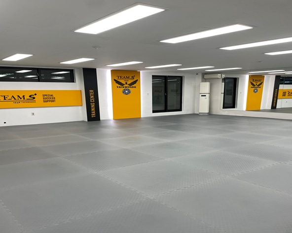 江南區韓國傳統跆拳道一日課程