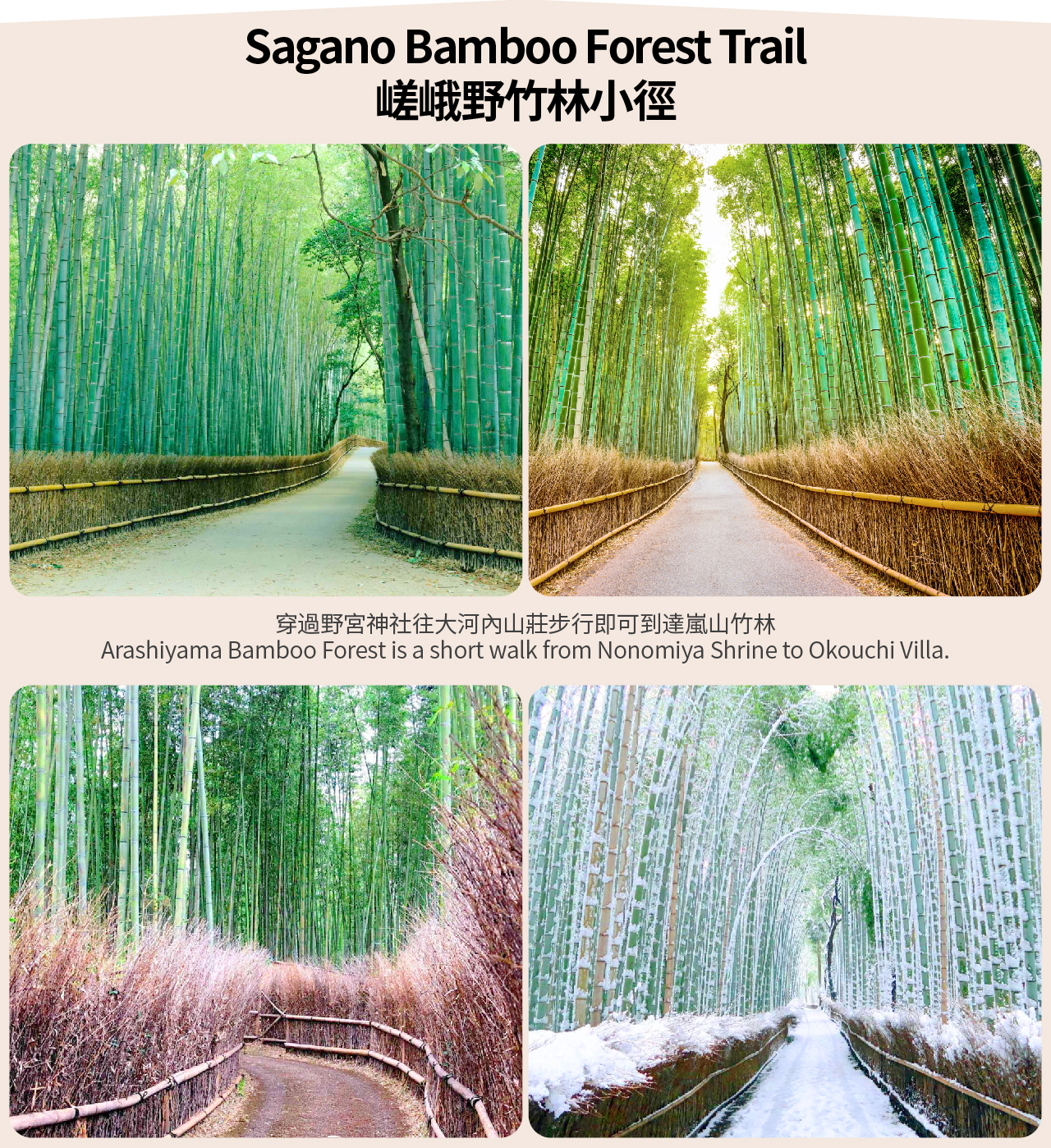 【京都&嵐山&奈良】奈良公園&伏見稻荷大社&伏見chiikawa本鋪&嵐山&竹林小徑一日遊（大阪出發）
