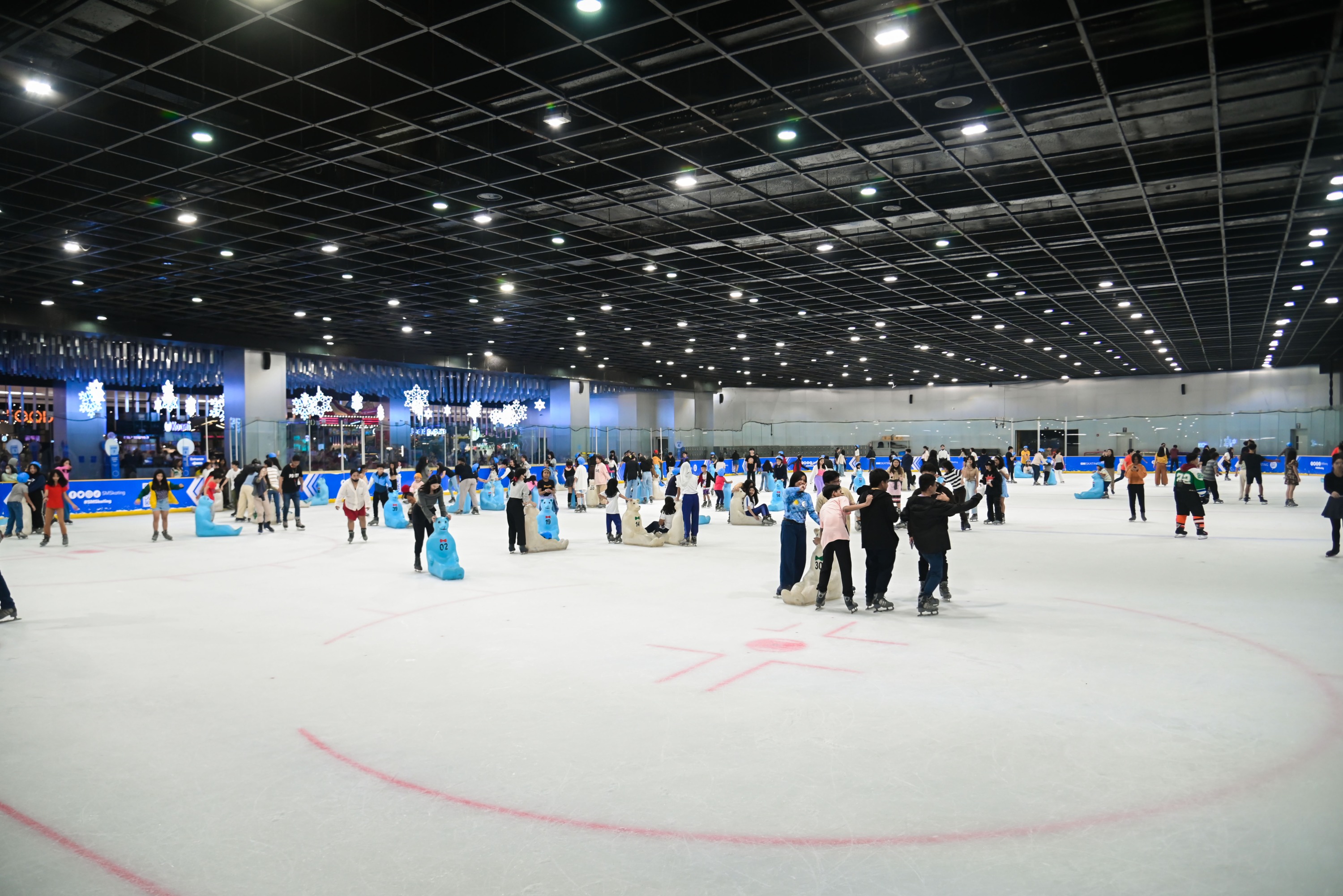 Ice Skating Experience at SM Mall of Asia