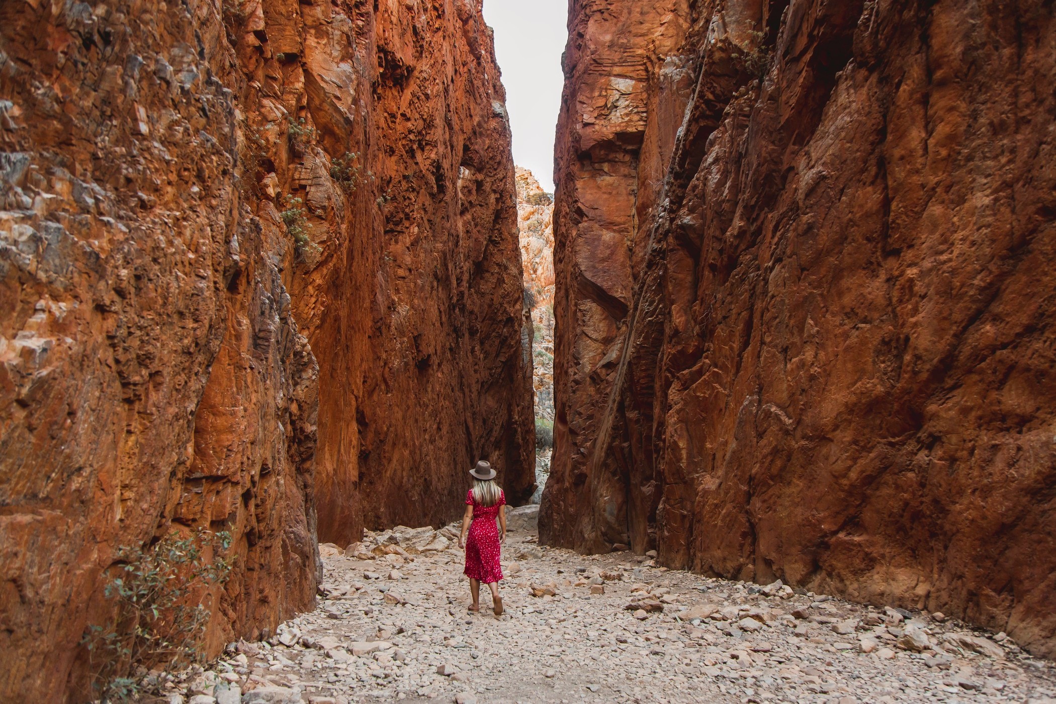 West MacDonnell Ranges Tjoritja Tour
