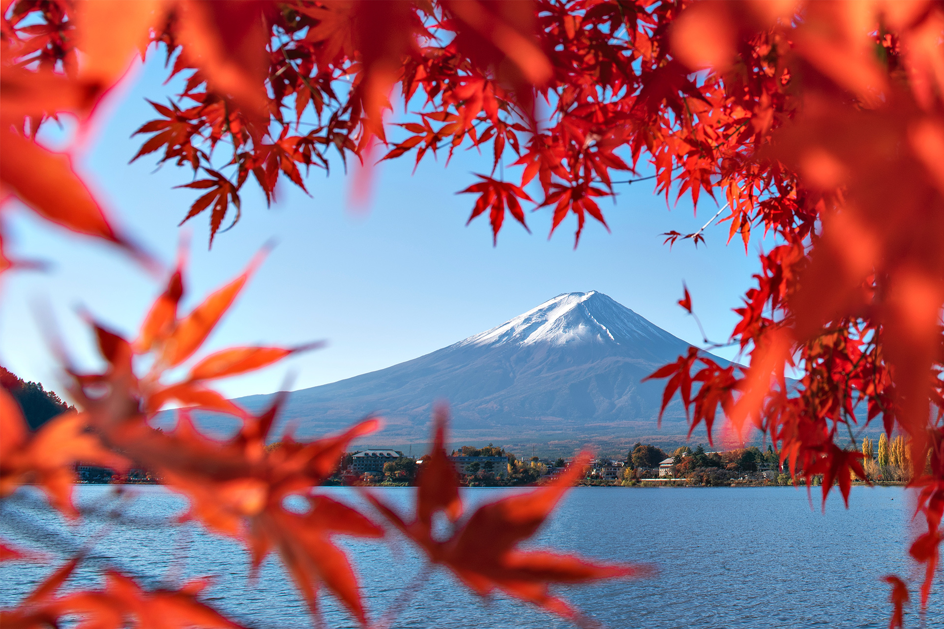 富士山紅葉時節的絢麗美景~ 富士山紅葉時節的絢麗美景~