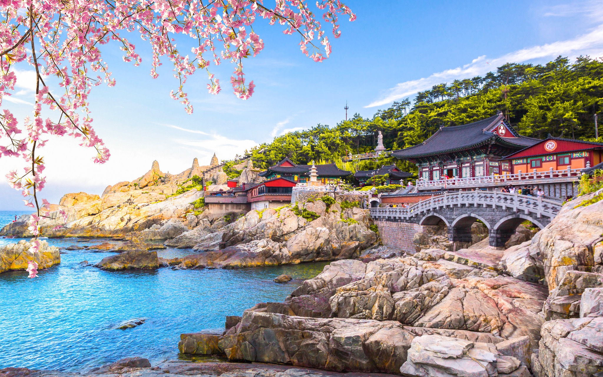 Busan City Top Attractions Tour with Haeundae Blueline Park