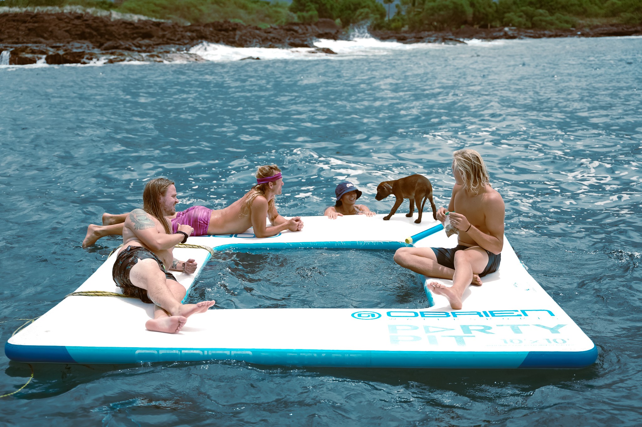 夏威夷基拉韋厄灣浮潛與海豚觀賞 (Kealakekua Bay Snorkel & Dolphin Watch in Hawaii)