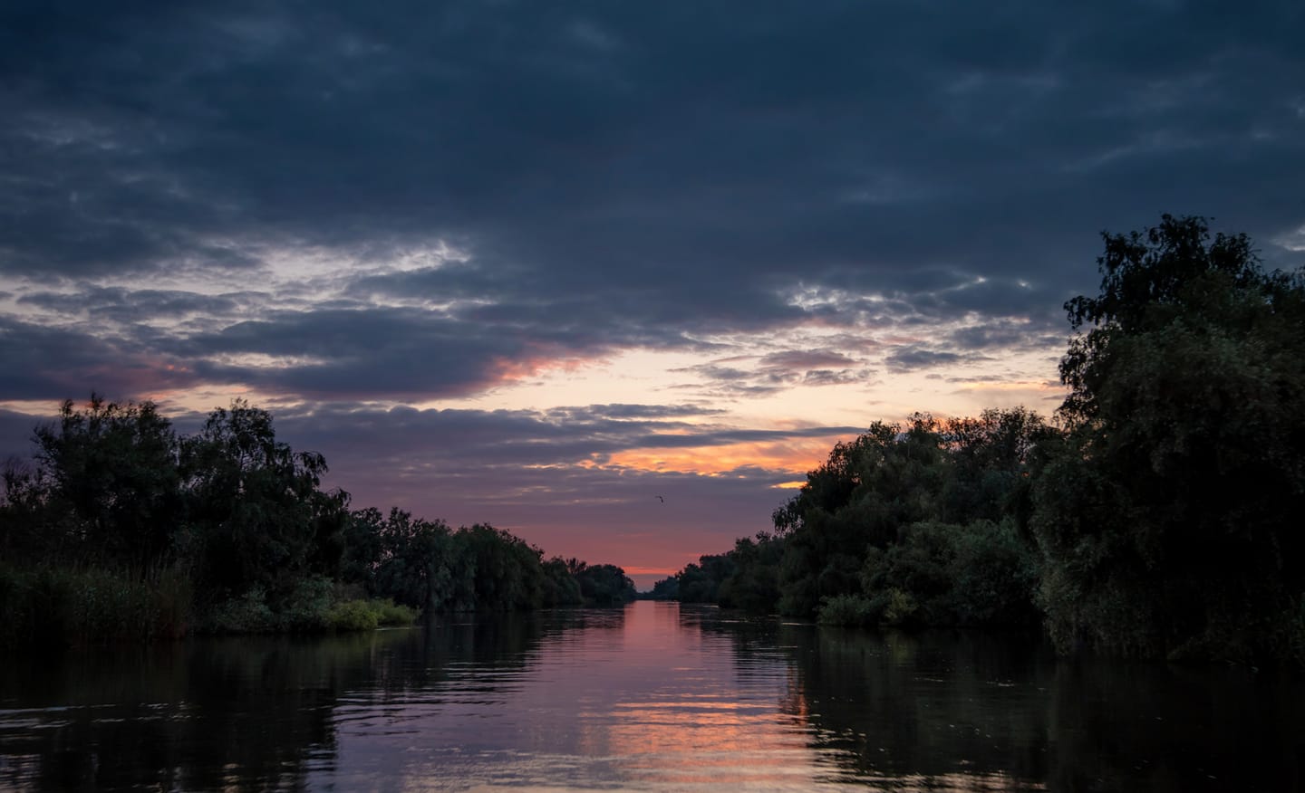 Wild Danube – One-Day Trip in the Delta with Local Guide and Boat