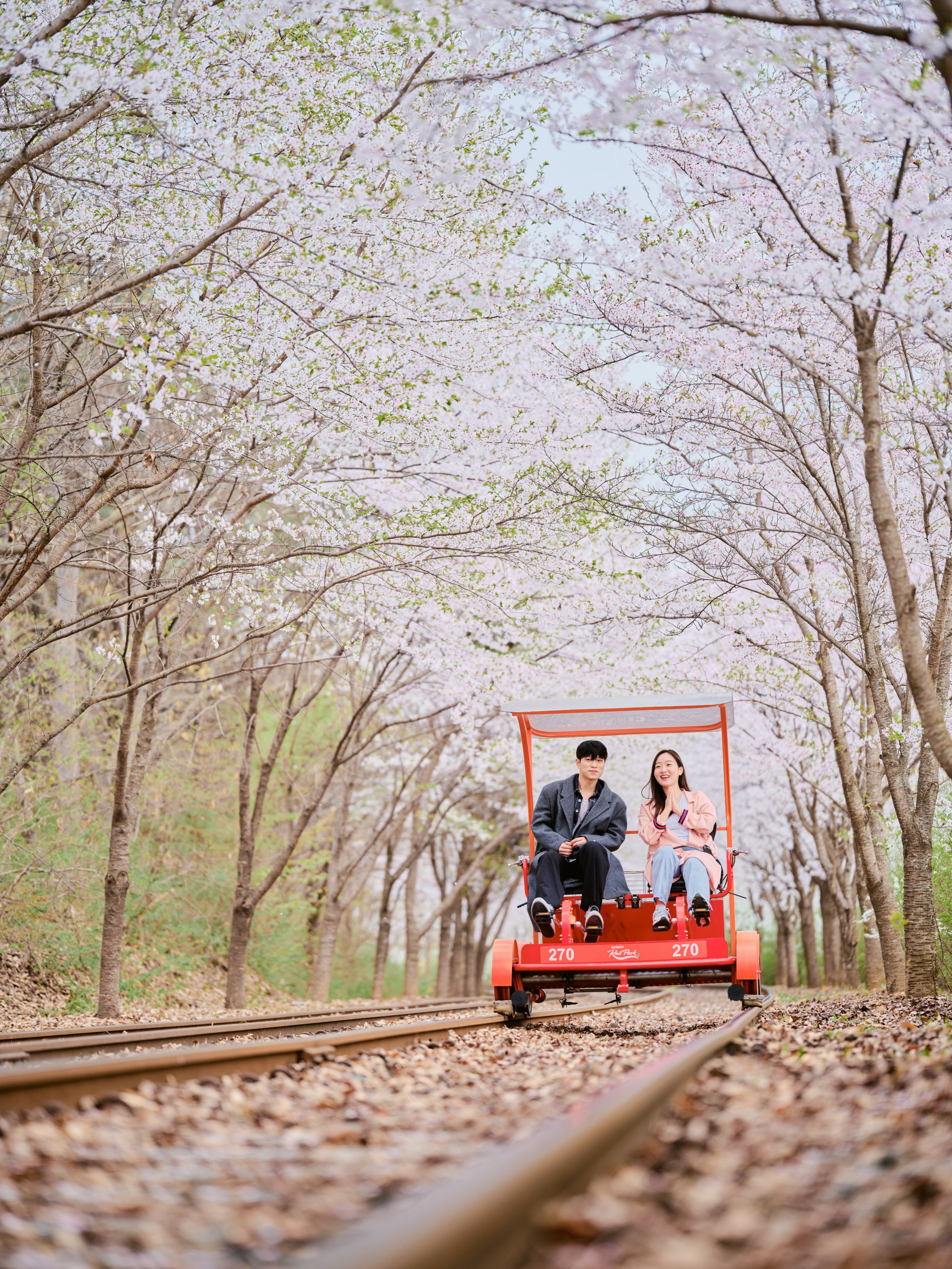 加平鐵道自行車體驗 [電子門票]