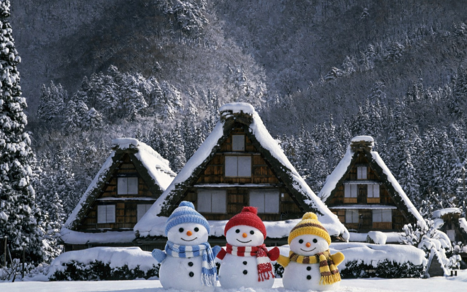 Day trip to Takayama & Shirakawa-go with a local guide