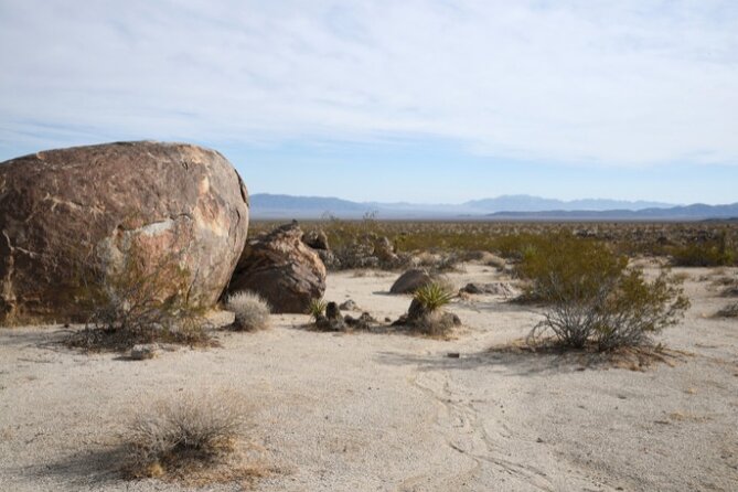 Joshua Tree National Park: Self-Guided Driving Tour