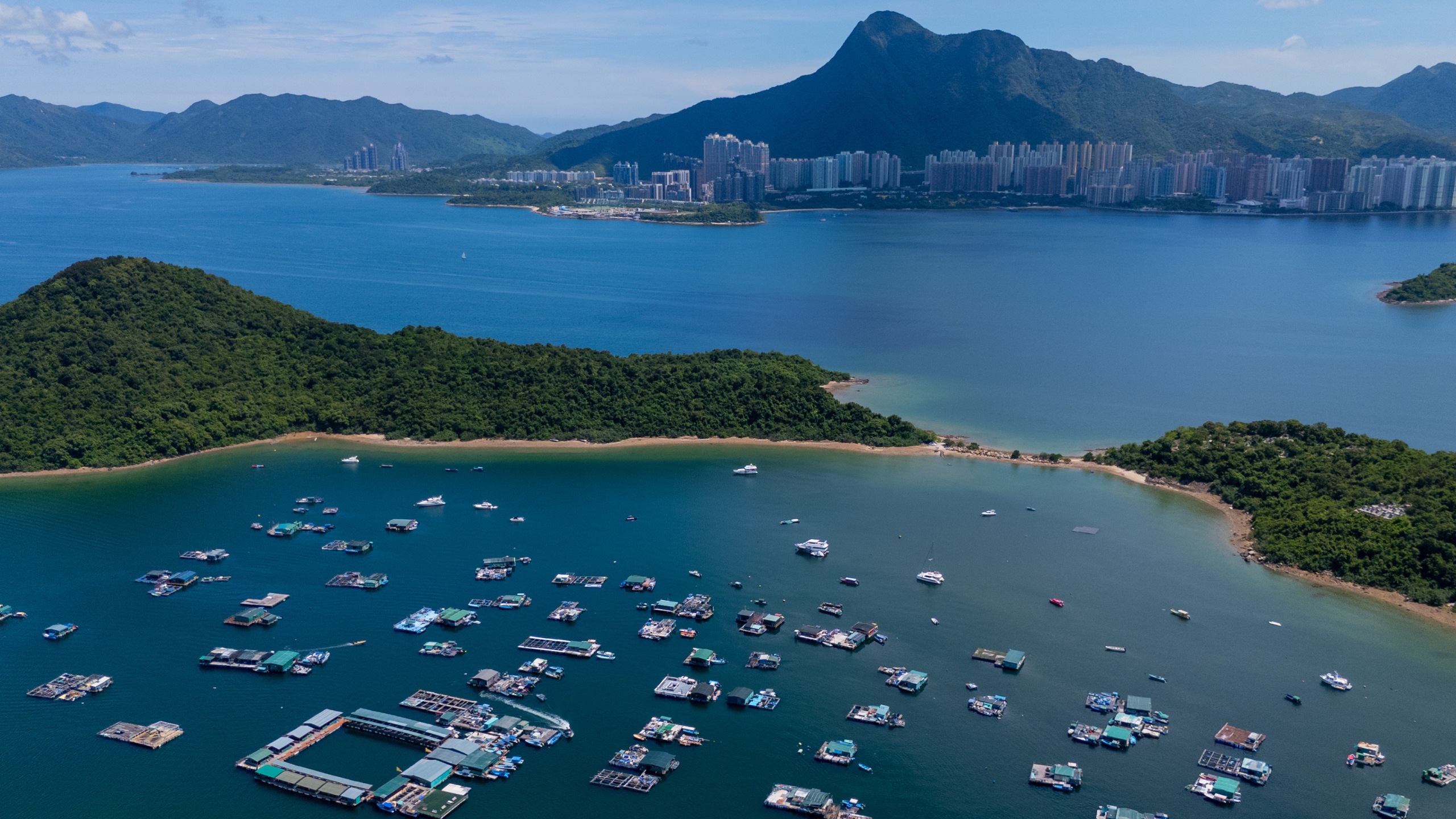 大埔三門仔魚排