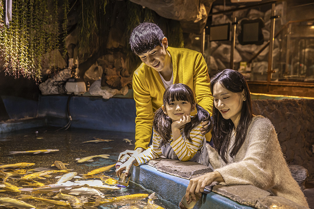 慶州Zoolung Zoolung室內動物主題公園門票