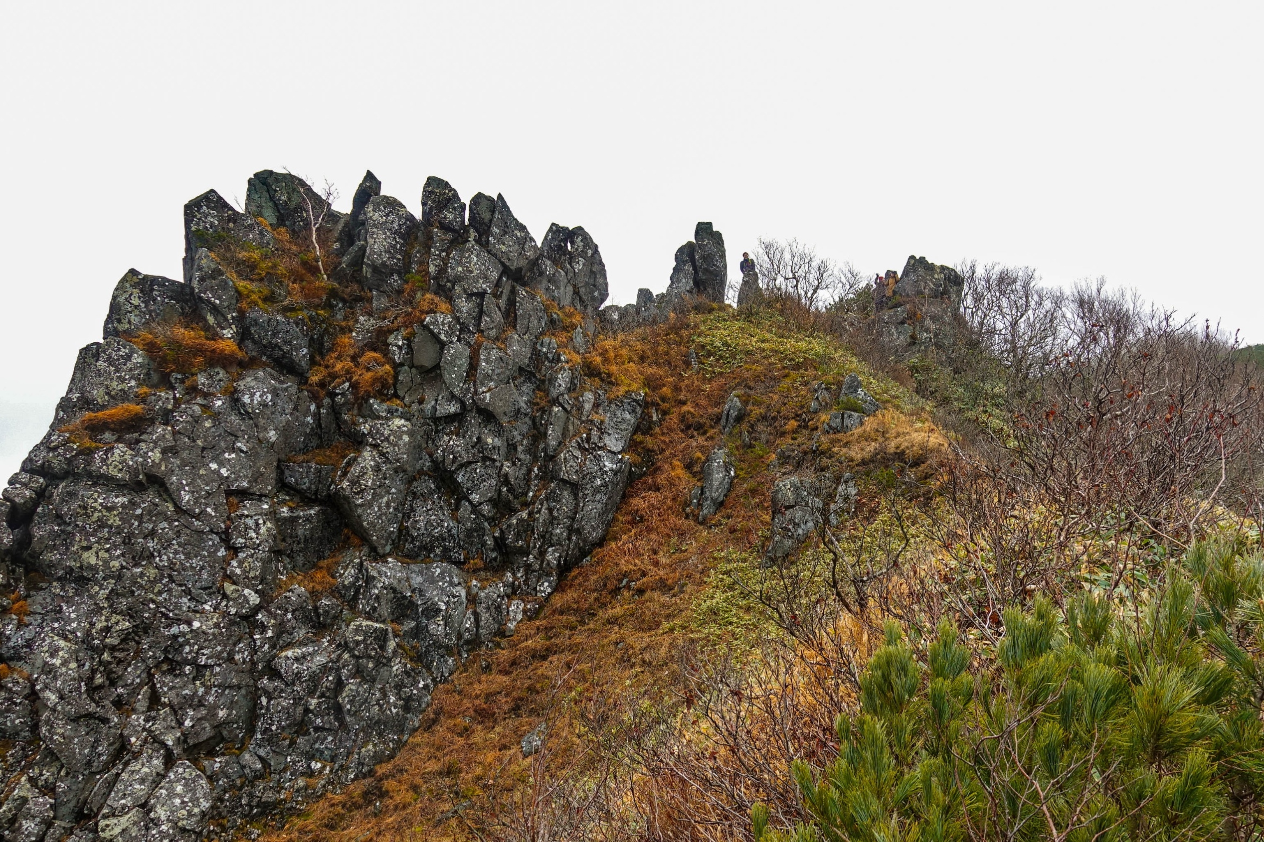 Okhotsk Subprefecture, Mt. Mokoto Half Day Trekking Tour