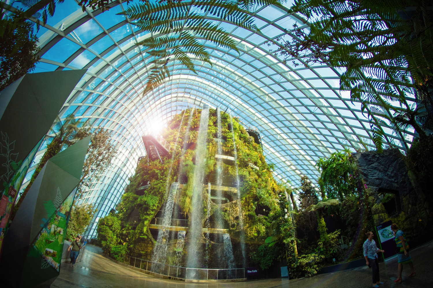 Gardens by the Bay - Supertrees, Flower Dome and Cloud Forest