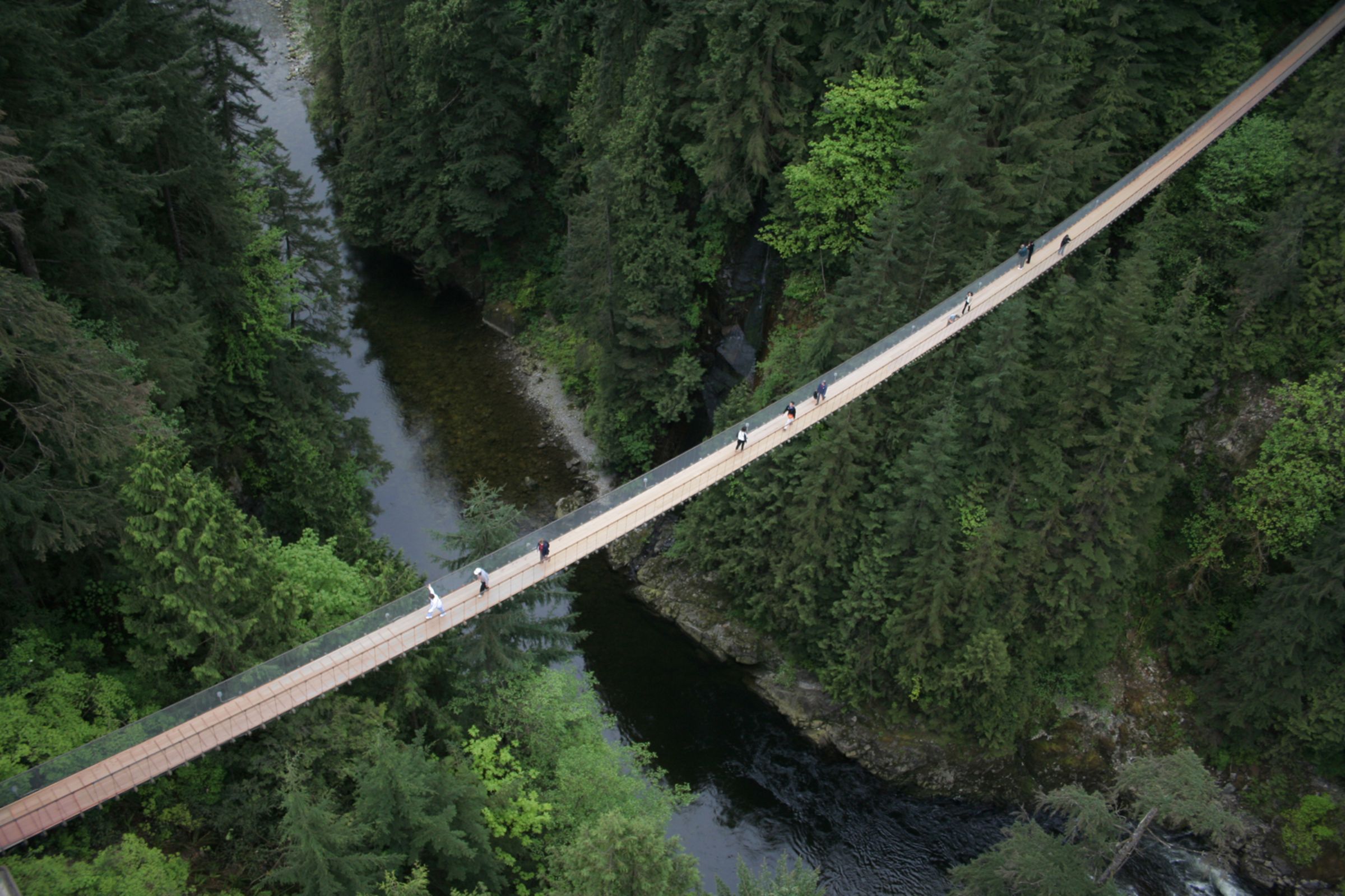 Vancouver City and Capilano Suspension Bridge Park Tour