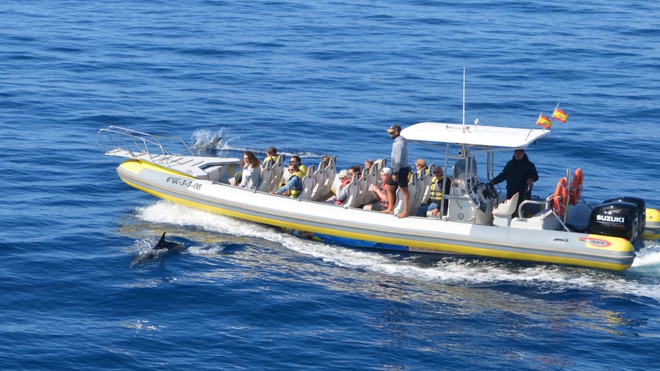 Hop aboard a speedboat for an unforgettable marine adventure off Morro Jable Harbor