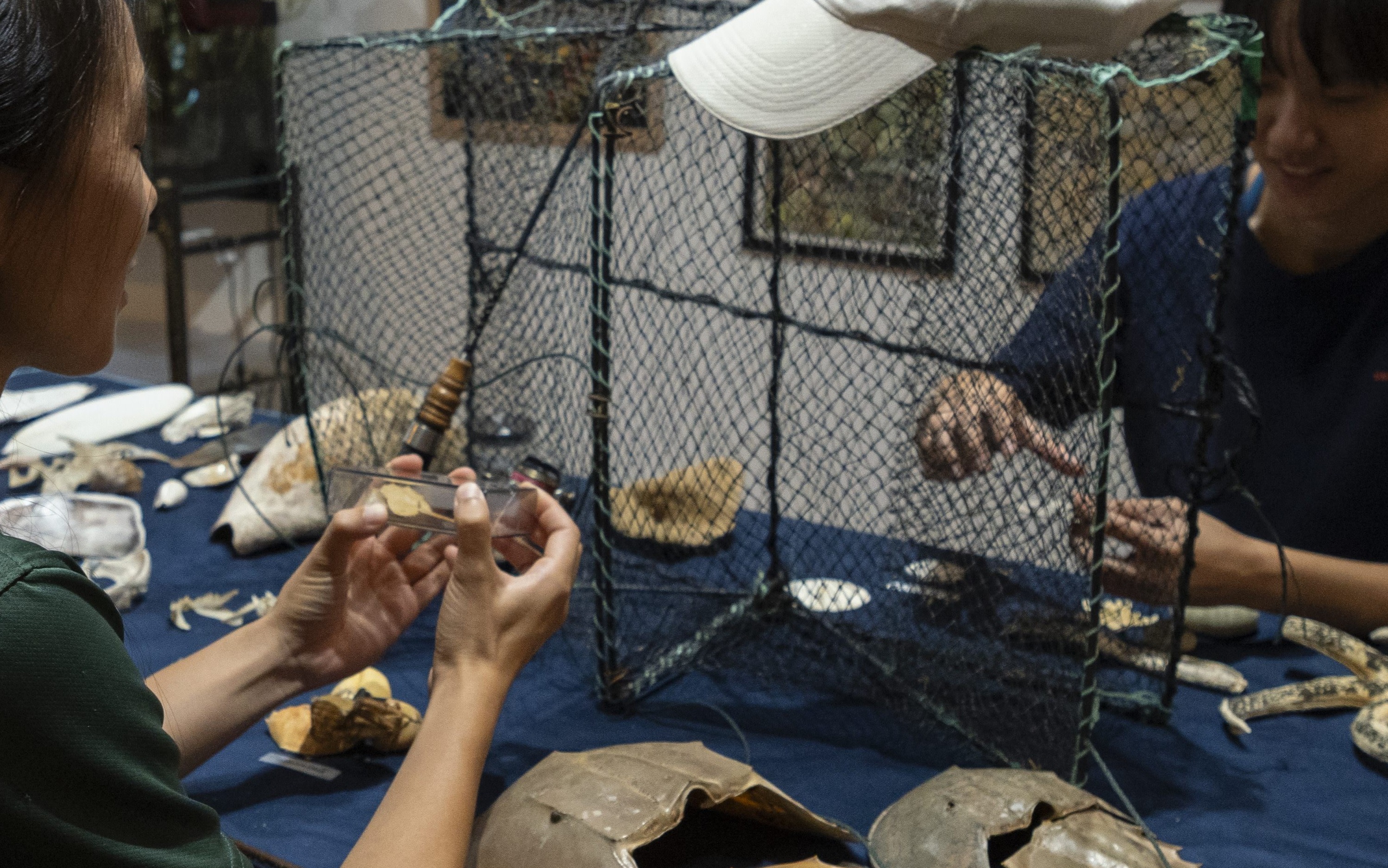 Stories from the Shore: Artefacts of Singapore’s Coastal Past