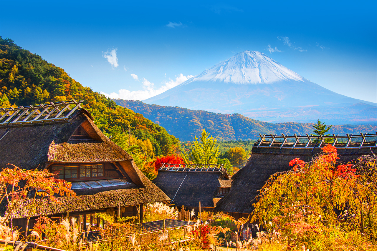 富士山探索之旅-新倉山淺間公園·天梯小鎮·忍野八海·河口湖大石公園·西湖療愈里根場一日遊