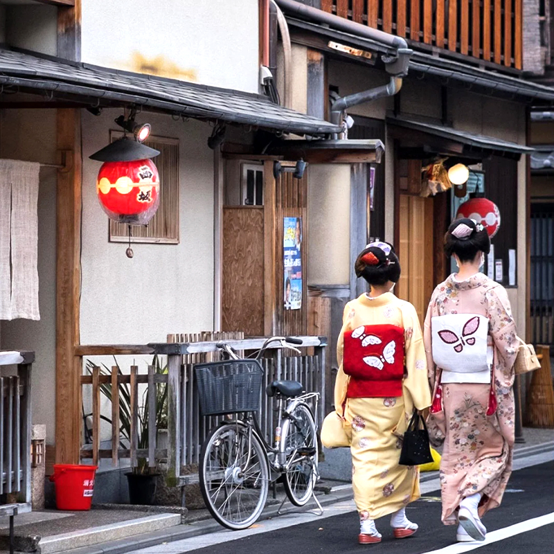 Kyoto Kinkakuji Temple, Kiyomizu Temple, Matcha Experience, Heian Shrine, and Rabbit Shrine Day Tour