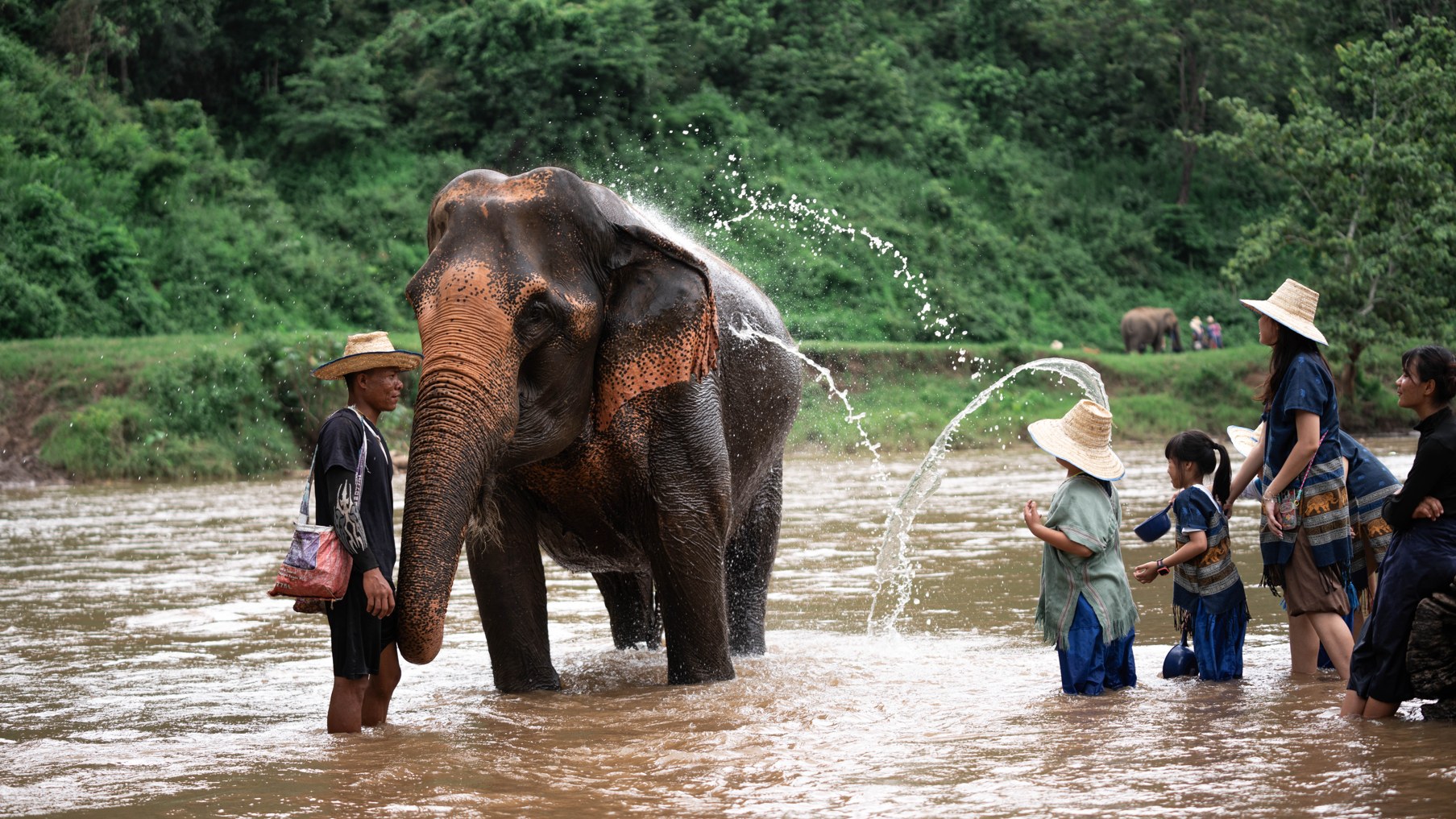 在河裡與大象一起享受和降溫 在河裡與大象一起享受和降溫