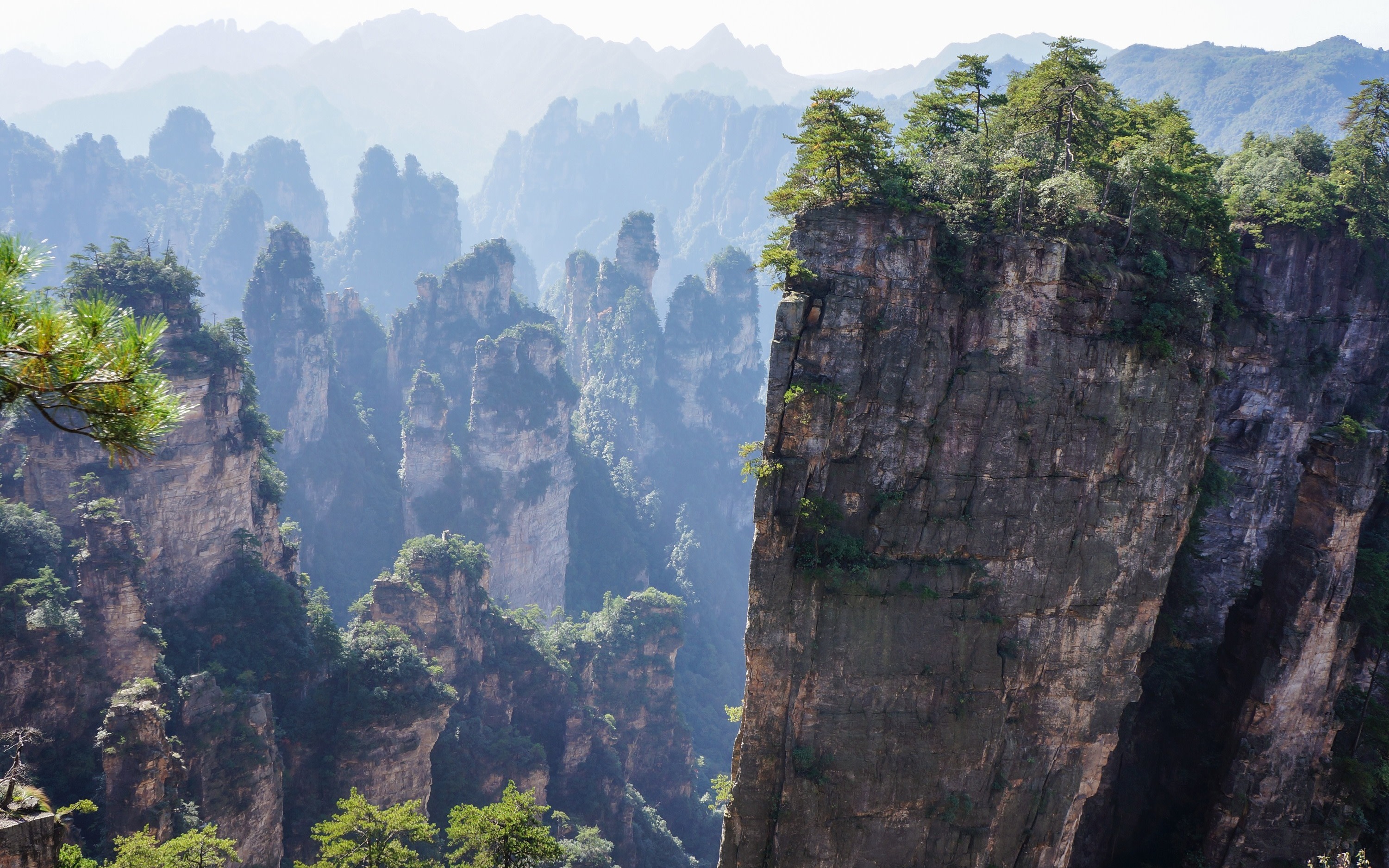 14 Days Giant Pandas & Zhangjiajie Avatar Mountains Group Tour