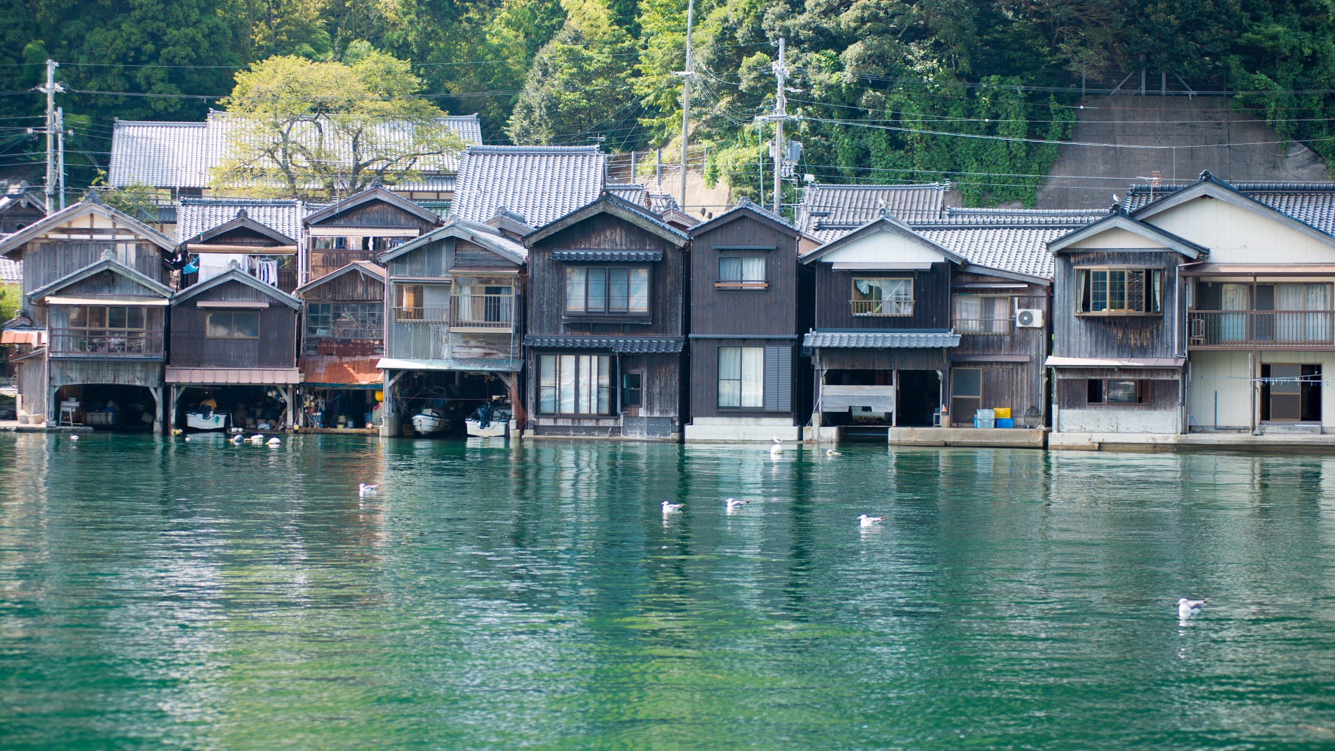 伊根舟屋被譽為"日本威尼斯"的海上秘境,230多棟傳統舟屋沿海灣綿延5公里。在這裡可登上展望臺拍攝全景,或漫步INE咖啡廳賞海,感受百年漁村的寧靜質樸。 伊根舟屋被譽為"日本威尼斯"的海上秘境,230多棟傳統舟屋沿海灣綿延5公里。在這裡可登上展望臺拍攝全景,或漫步INE咖啡廳賞海,感受百年漁村的寧靜質樸。