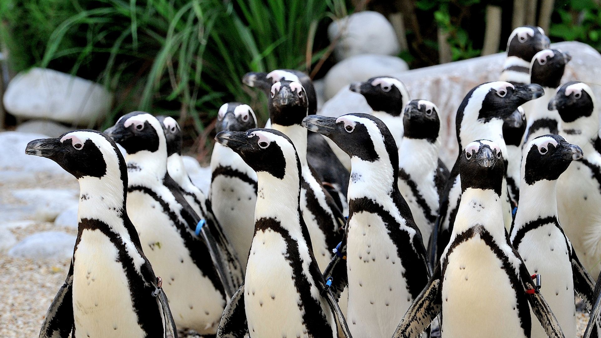 Explore a place where nature, adventure, and unforgettable moments come together