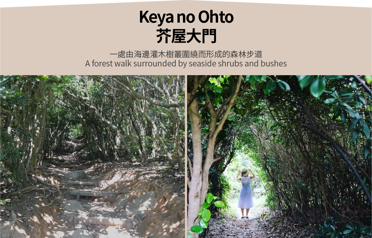 九州: 白絲瀑布&雷山千如寺&一蘭之森&芥屋大門公園一日遊（福岡出發）