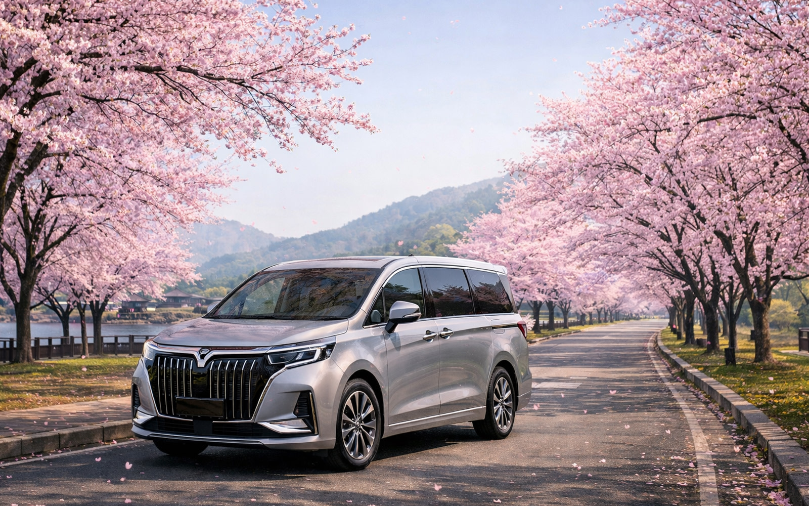 武漢市區一日包車