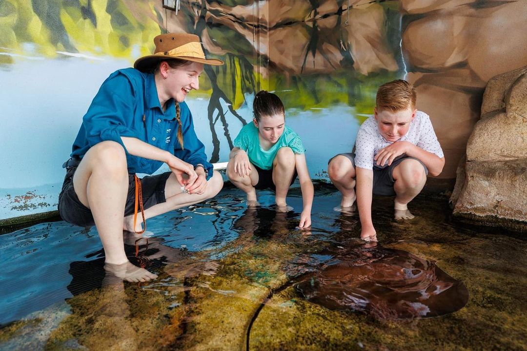 Whipray Encounter Experience in Darwin