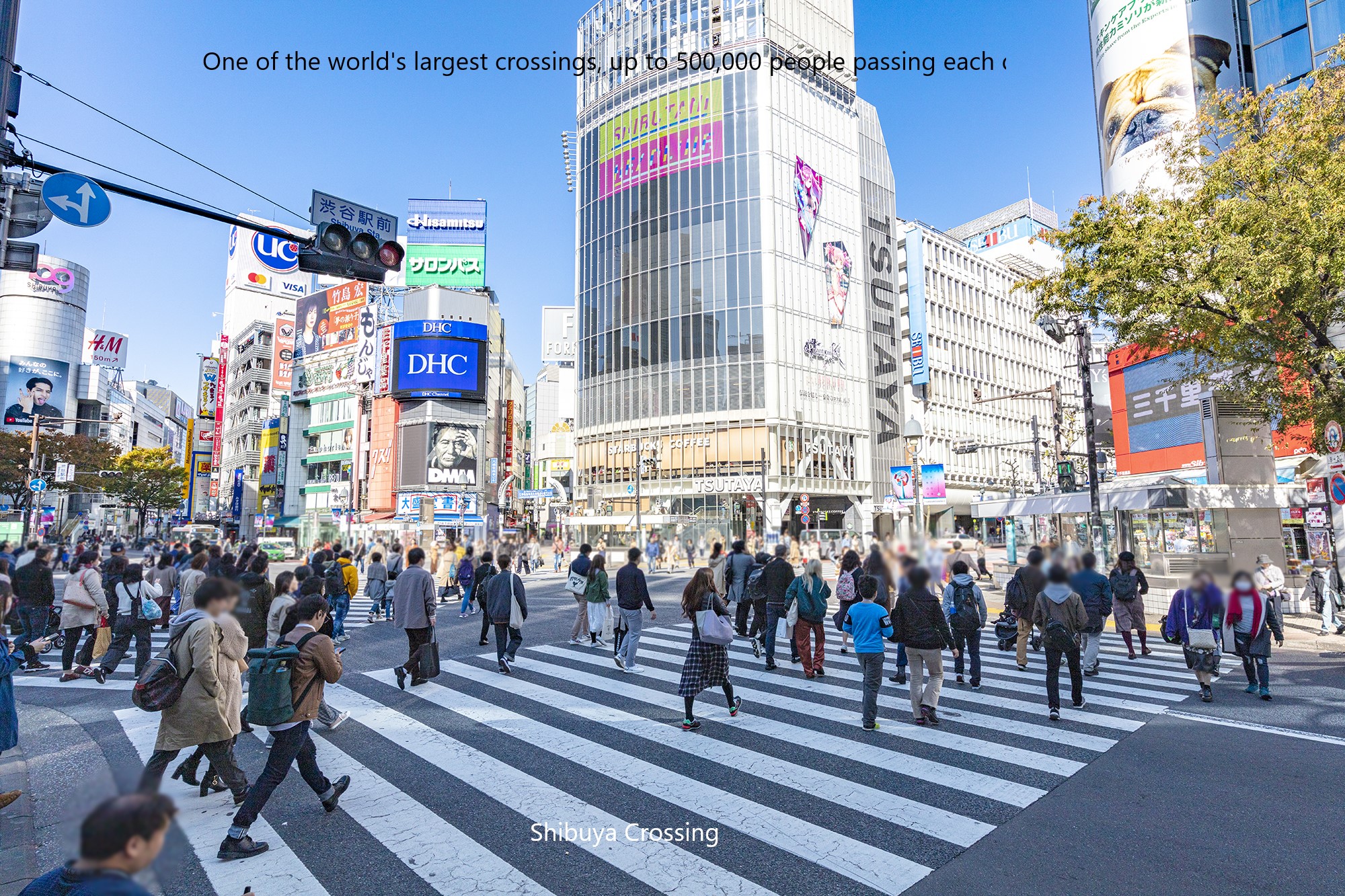 東京市區私人定製徒步一日遊