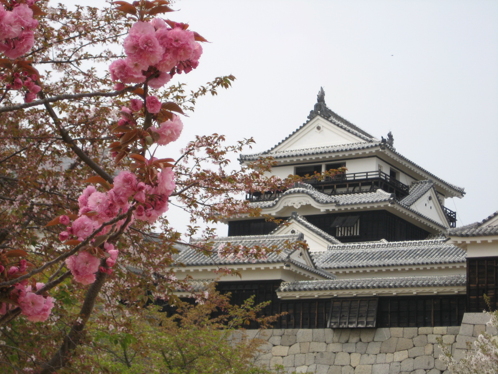 松山城
