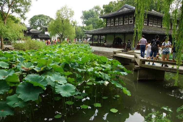 拙政園-被譽為中國四大名園 拙政園-被譽為中國四大名園
