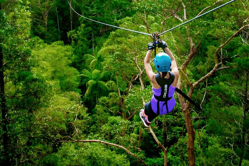 Tamborine Mountain Hop on Hop Off Shuttle from Brisbane or GC