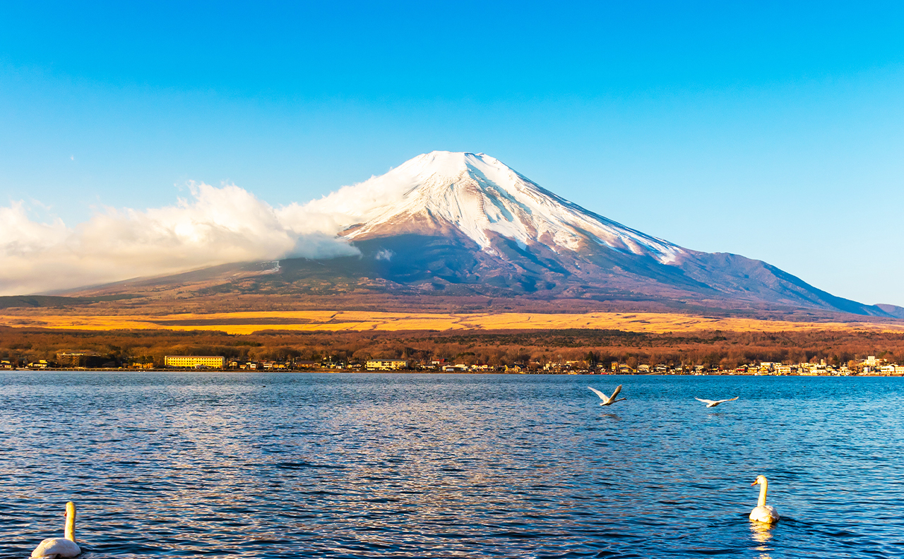 富士山山中湖單車騎行 河口湖纜車 抹茶體驗 網紅景點打卡二日遊｜4~9人精品小團｜東京/新宿出發