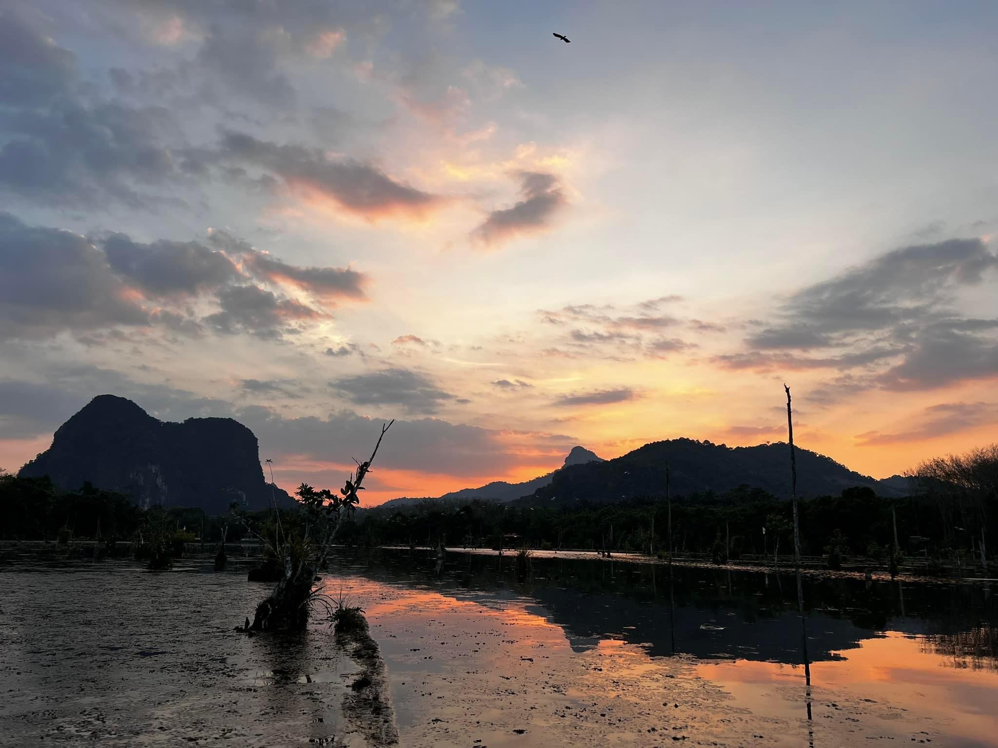 Klong Nam Sai 皮划艇 + 餵魚 + 觀賞大象 + 全地形車