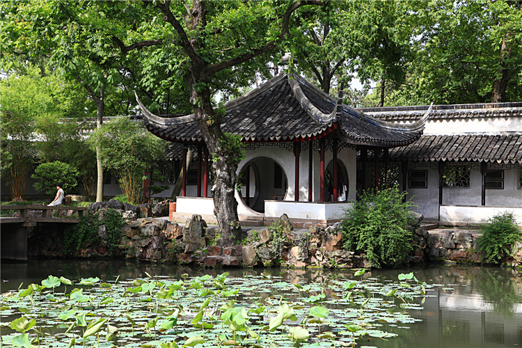 Round Trip from Shanghai/Pure 1-Day Tour to Classical Gardens of Jiangnan: The Humble Administrator's Garden in Suzhou + Hanshan Temple + Tiger Hill Scenic Area + Qili Shantang Street