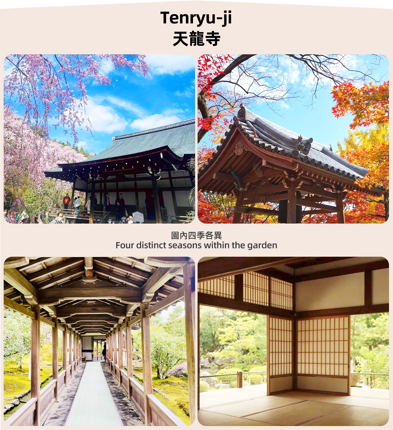 Caoyuan Pond Garden uses Arashiyama as its canvas, presenting the pinnacle of Zen Buddhism’s “borrowed landscape garden”