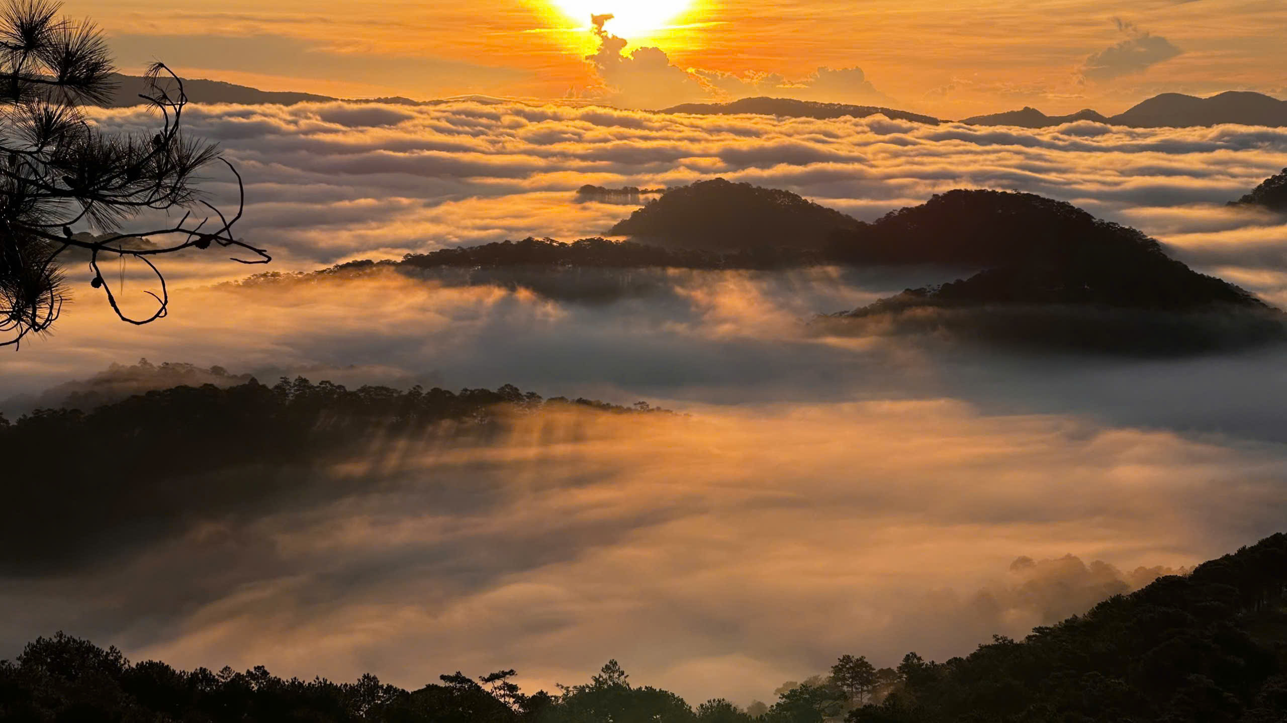 Cloud hunting - trekking in Dalat