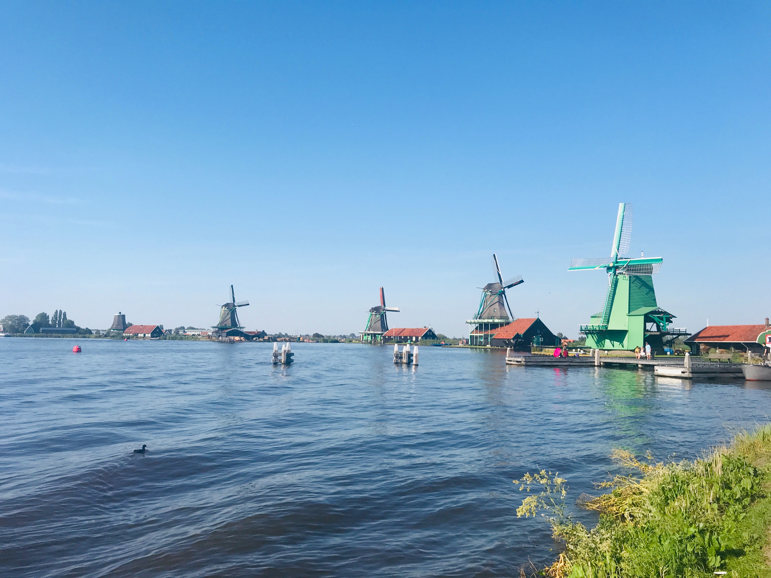 Zaanse Schans and Giethoorn Small-Group Tour with Hotel Pick Up