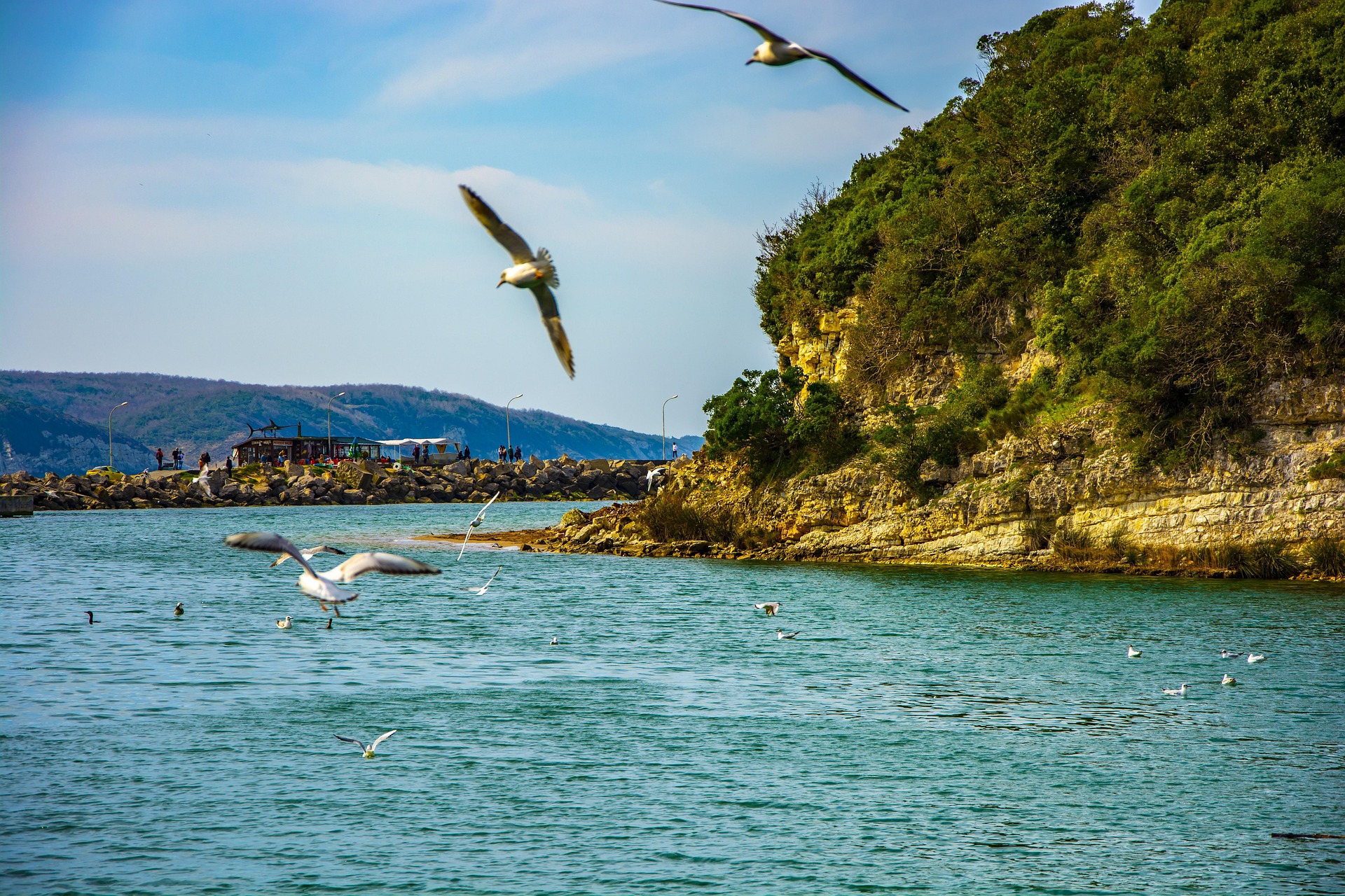 Sapanca and Masukiye Lakes, Waterfalls & Wildlife Private Tour